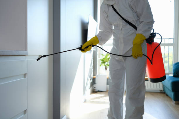 Best HVAC Mold Remediation in East Hazel Crest, IL